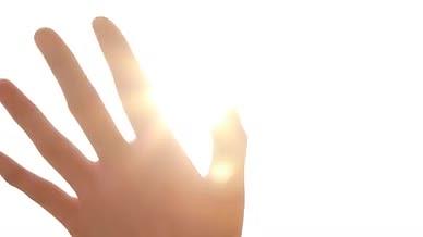 唯美手掌指缝里的阳光视频的预览图